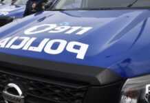 Atropellaron y mataron a una joven en Arroyito: El conductor huyó y luego fue detenido