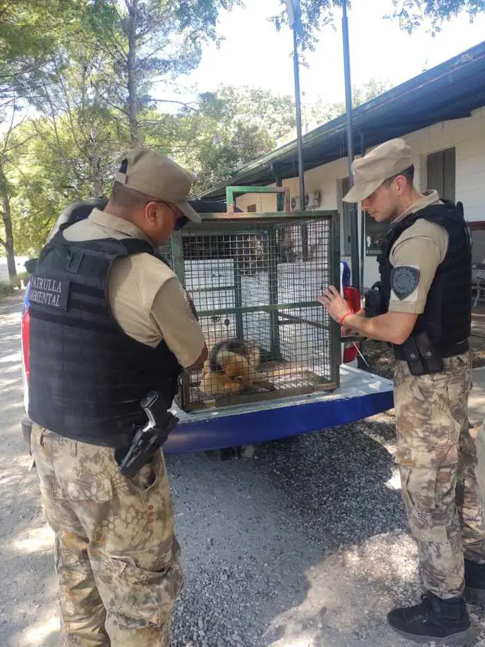 WhatsApp Image 2026-03-01 at 17.49.51