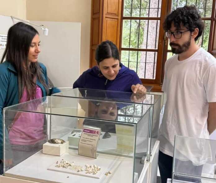 WhatsApp Image 2026-03-06 at 17.57.21