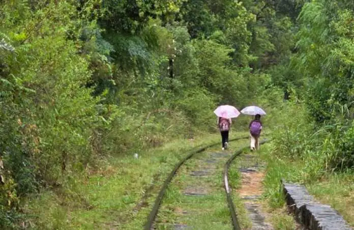 WhatsApp Image 2026-03-07 at 11.25.13