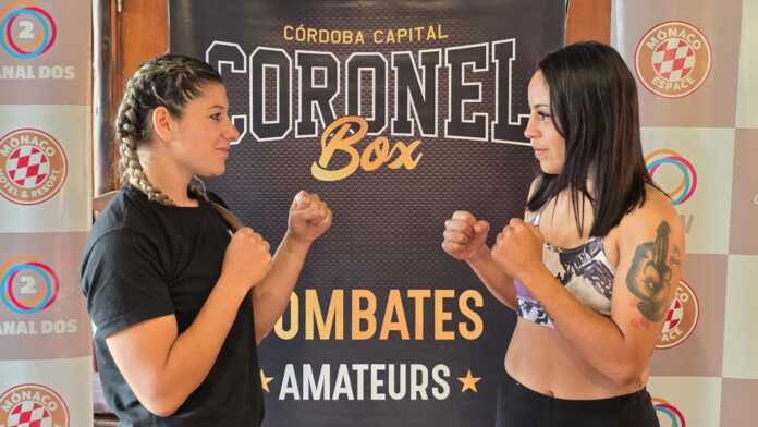 WhatsApp Image 2026-03-26 at 19.19.52 (1)