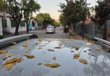 ¿Hasta cuándo sigue el calor en Carlos Paz? El pronóstico anuncia un pico de 36 grados antes de la llegada del alivio