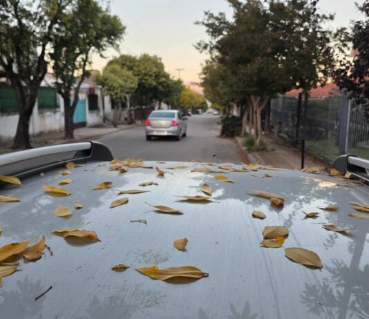 ¿Hasta cuándo sigue el calor en Carlos Paz? El pronóstico anuncia un pico de 36 grados antes de la llegada del alivio