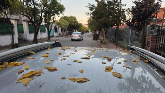 WhatsApp Image 2026-03-31 at 08.19.06