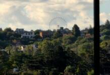 Piedra libre a la Rueda Mágica