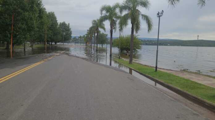 lagollenoo10o1