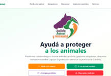 Maltrato animal: Nace en Córdoba una fundación para combatirlo con IA y denuncias anónimas