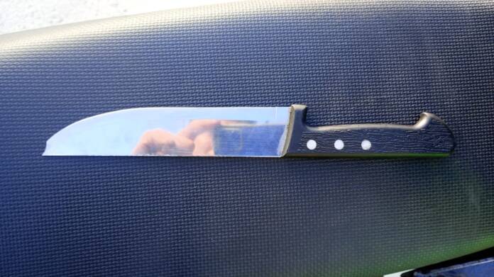 WhatsApp Image 2026-04-01 at 11.46.08