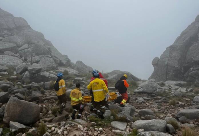 WhatsApp Image 2026-04-03 at 13.36.14