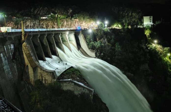 WhatsApp Image 2026-04-04 at 20.42.00