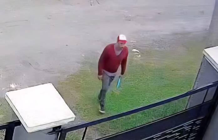 WhatsApp Image 2026-04-05 at 19.02.33