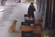 Video: Comió, se fue sin pagar y terminó detenido horas después en el centro de Carlos Paz