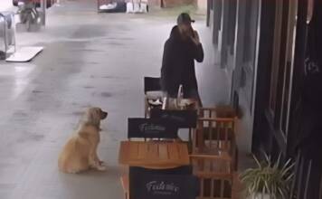 Video: Comió, se fue sin pagar y terminó detenido horas después en el centro de Carlos Paz