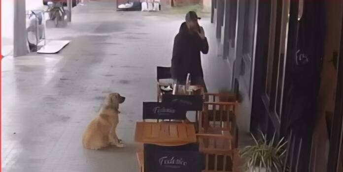 WhatsApp Image 2026-04-07 at 10.42.01