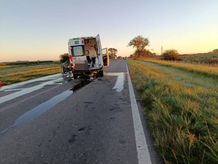 WhatsApp Image 2026-04-12 at 12.09.16