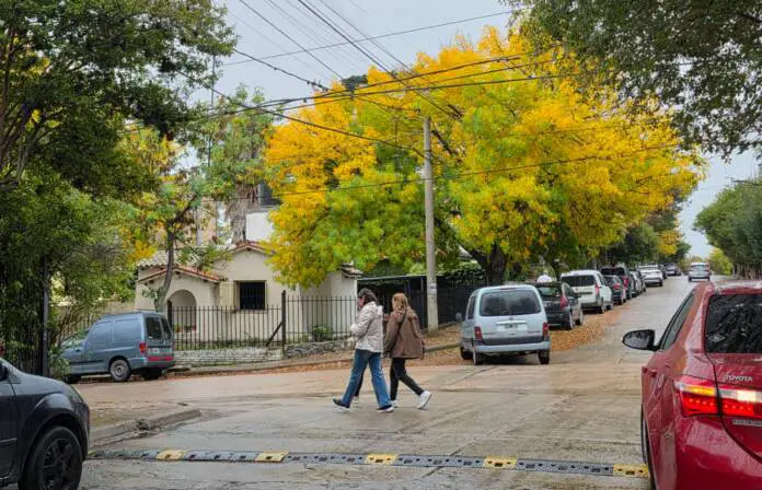 WhatsApp Image 2026-04-15 at 10.24.06