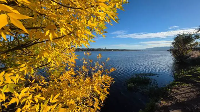 WhatsApp Image 2026-04-17 at 09.04.06