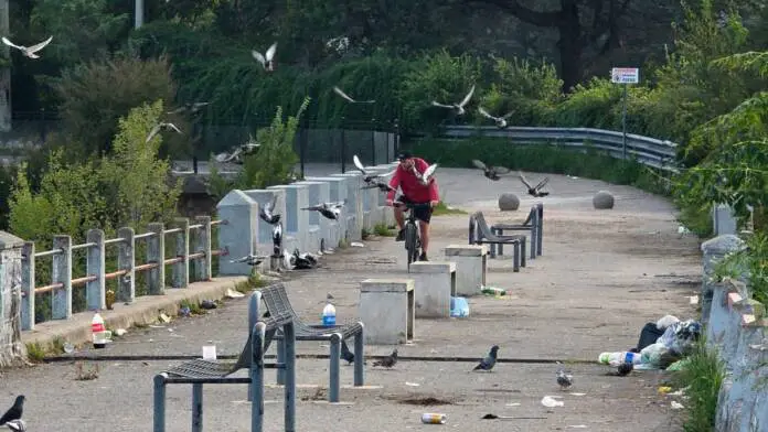 WhatsApp Image 2026-04-17 at 11.10.00