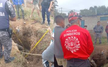 Un caballo quedó atrapado a dos metros bajo tierra y fue rescatado por el DUAR