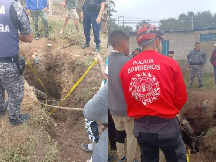 WhatsApp Image 2026-04-21 at 08.07.27