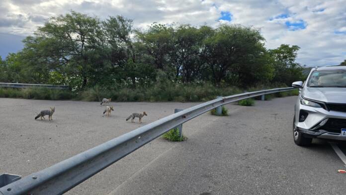 WhatsApp Image 2026-04-23 at 17.17.56