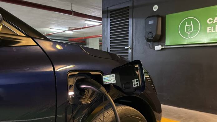 WhatsApp Image 2026-04-24 at 17.50.14