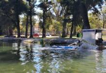 ¿Te acordás de la cosechadora de algas del San Roque? Mirá a dónde está ahora