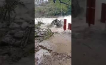Video: El histórico puente colgante de Villa Alpina fue arrastrado por la creciente