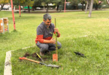 Plaza Alberdi se renueva con la plantación de árboles nativos