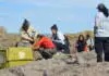 La historia de Pacha y Taba, los cóndores liberados en el Parque Nacional Quebrada del Condorito