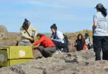 La historia de Pacha y Taba, los cóndores liberados en el Parque Nacional Quebrada del Condorito