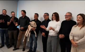 Cuándo debutará el programa que posiciona a Carlos Paz como destino pet friendly