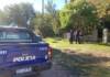 Dos menores fueron atacados por perros en Bialet Massé