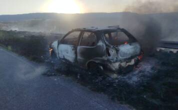 Se prendió fuego un auto en Copina y sofocaron incendio de pastizales