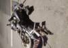 Misterio en Malagueño: Encontraron sin vida a un motociclista sobre la Ruta C-45