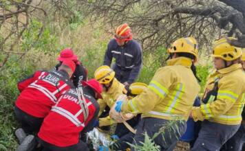 Encontraron con vida a una mujer que era intensamente buscada en Río Tercero