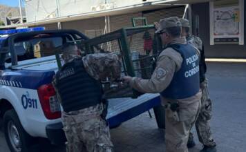 Una de Cal: El drama de Cosquín que expone la vulnerabilidad más cruda