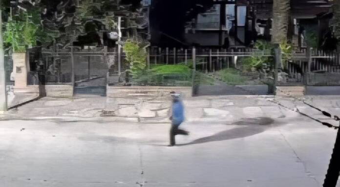 WhatsApp Image 2026-05-21 at 16.53.58