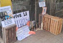 Caso Agostina: las cinco claves que dejó la nueva declaración de Barrelier