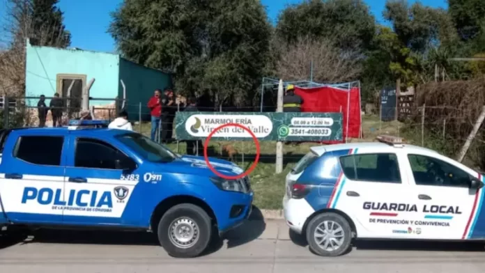nena atacad por perro cosquín