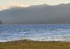 De qué especie son las plantas flotantes que aparecieron en las costas del lago San Roque