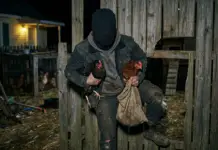 Carlos Paz: Robaron gallinas ponedoras y conejos del fondo de una casa