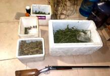 Bialet Massé: Discutió con su madre y terminó preso por tener una escopeta y marihuana en su habitación