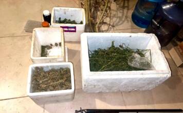 Bialet Massé: Discutió con su madre y terminó preso por tener una escopeta y marihuana en su habitación