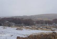 Llegaron los primeros copos de nieve: la Pampa de Achala comienza a teñirse blanco