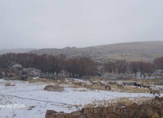 Llegaron los primeros copos de nieve: la Pampa de Achala comienza a teñirse blanco