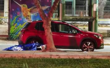 Conmoción en Chile: un niño de 12 años murió tras ser arrastrado tres kilómetros por un auto