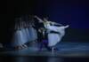 El gran éxito de Giselle culminó un mes inolvidable para la cultura de Córdoba
