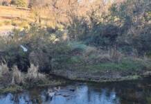 Carlos Paz: Vecinos impulsan la recuperación del histórico Canal de Riego de 1904