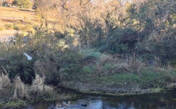 Carlos Paz: Vecinos impulsan la recuperación del histórico Canal de Riego de 1904